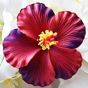 Hibiscus Hair Flower